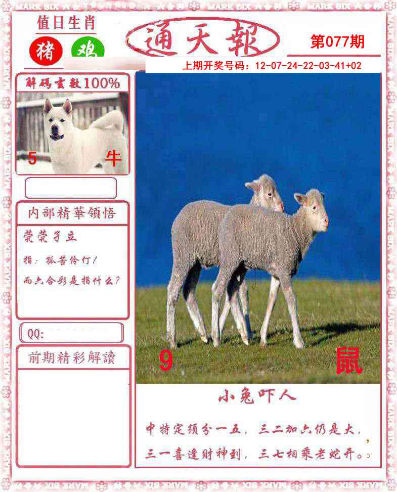 077期正版通天报[图]
